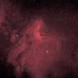 IC5070, The Pelican Nebula